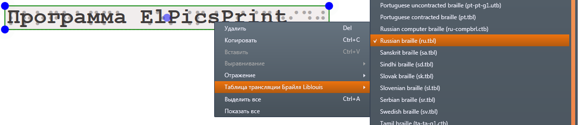 Выбор таблицы трансляции Брайля из контекстного меню поля